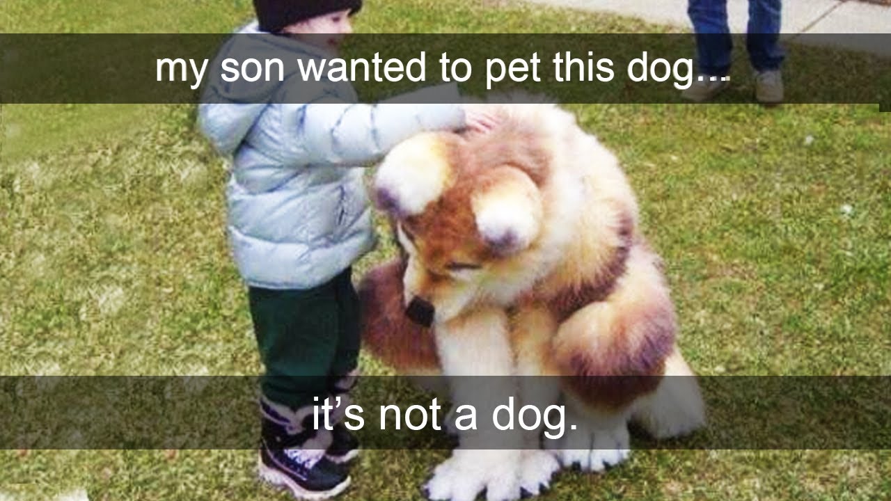 furries are insanely cringe