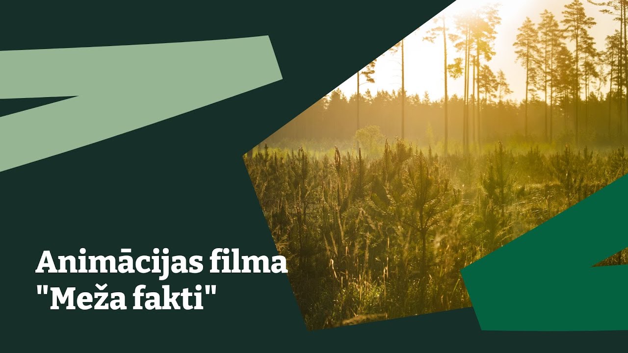 Meža fakti