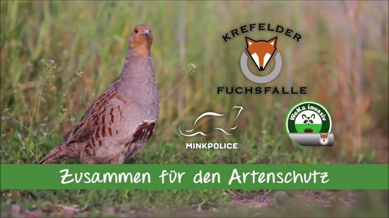 Unser aktuelles Messevideo 2026