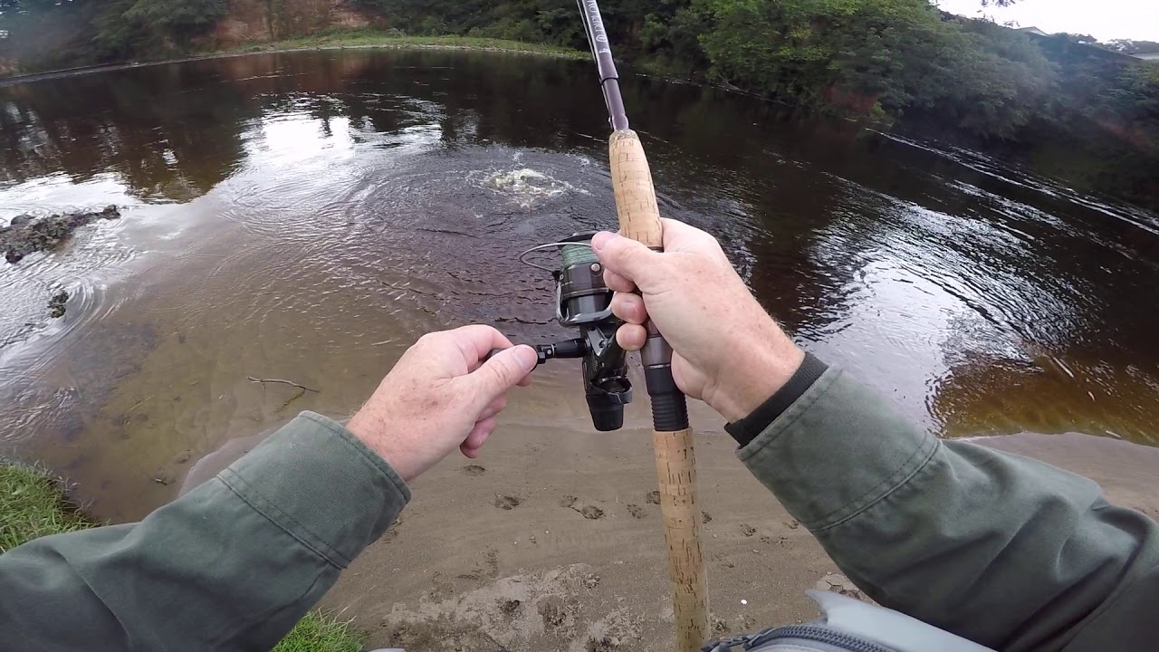 5 Sep 19 - A nice 10 lb Salmon on the Border Esk this morning.