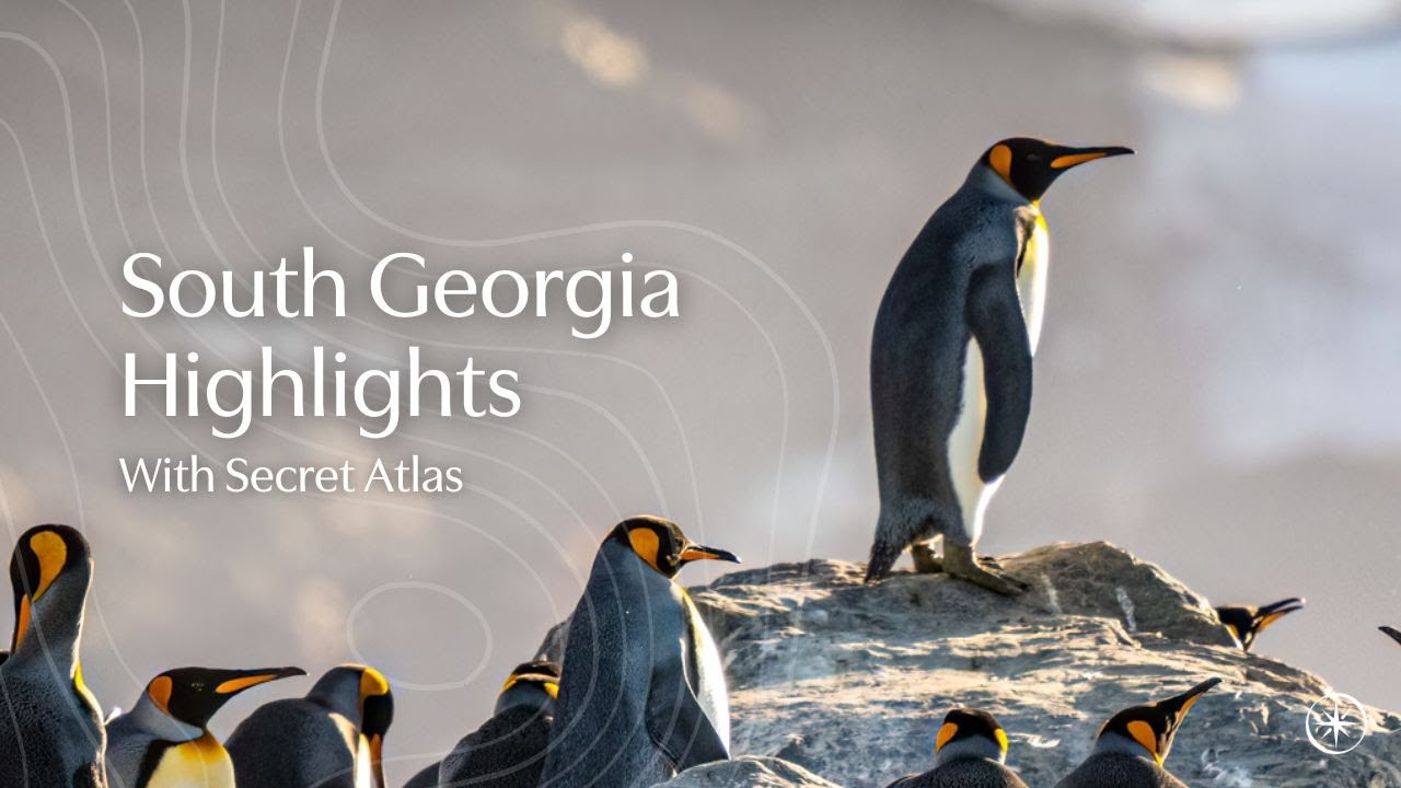 South Georgia Highlights With Secret Atlas