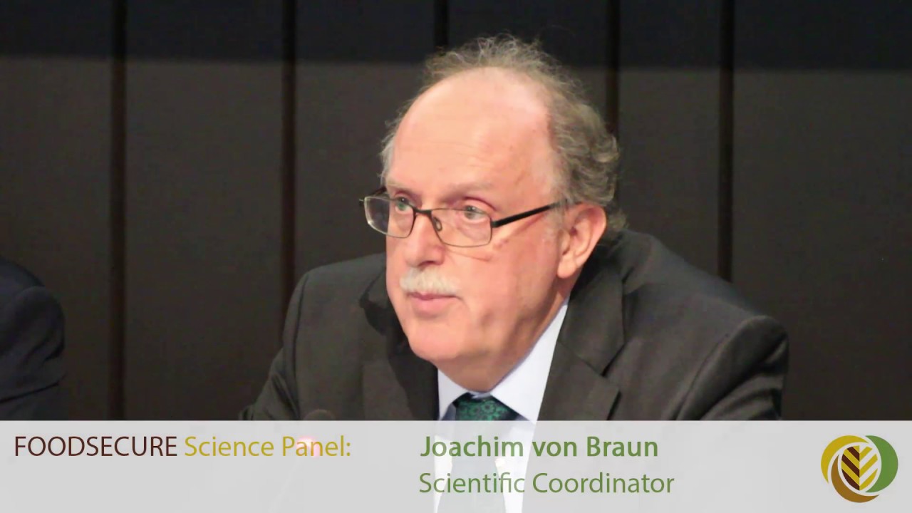 FSFC Science Panel - A helpful research and policy frame for global action and governance of fns
