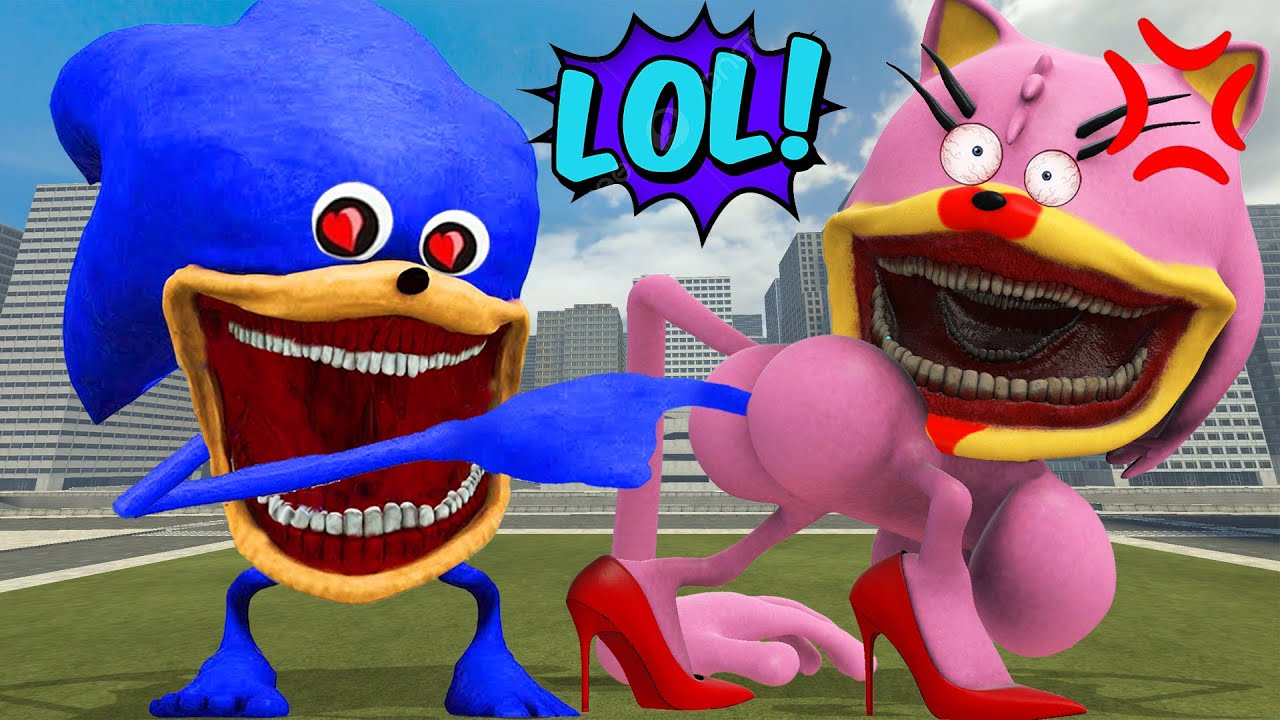 WHAT HAPPENS WHEN SHIN SONIC TAPES TROLL SHIN SONIC LOVE AMY XXL TAPES IN GARRYS MOD!