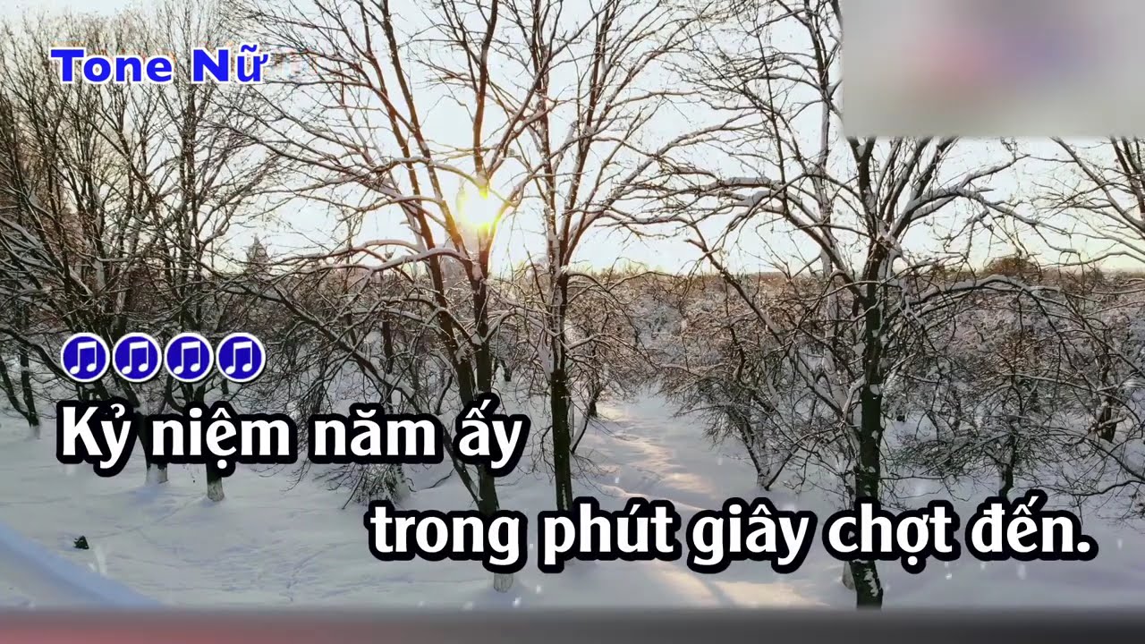 Karaoke - Ta Ao Dem Noel - Tone Nu