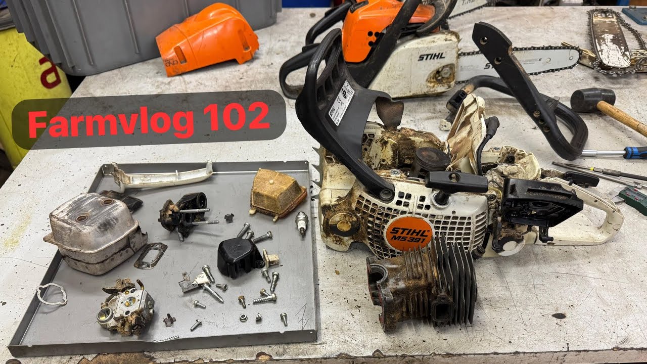 Farmvlog#102 Frankenstein Säge? Stihl ms 391 Zerlegen