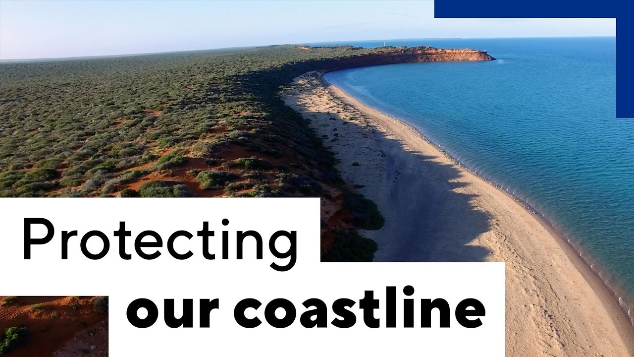 Protecting our coastline