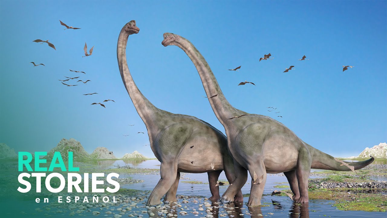 Descubriendo El Antiguo Mundo De Los Dinosaurios Herbívoros