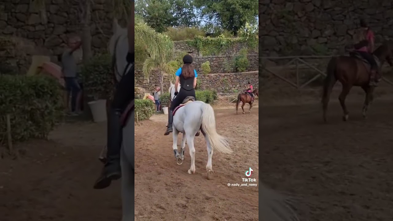 Hahaha (non sono io)#sport#horse#cavalli#equitazione
