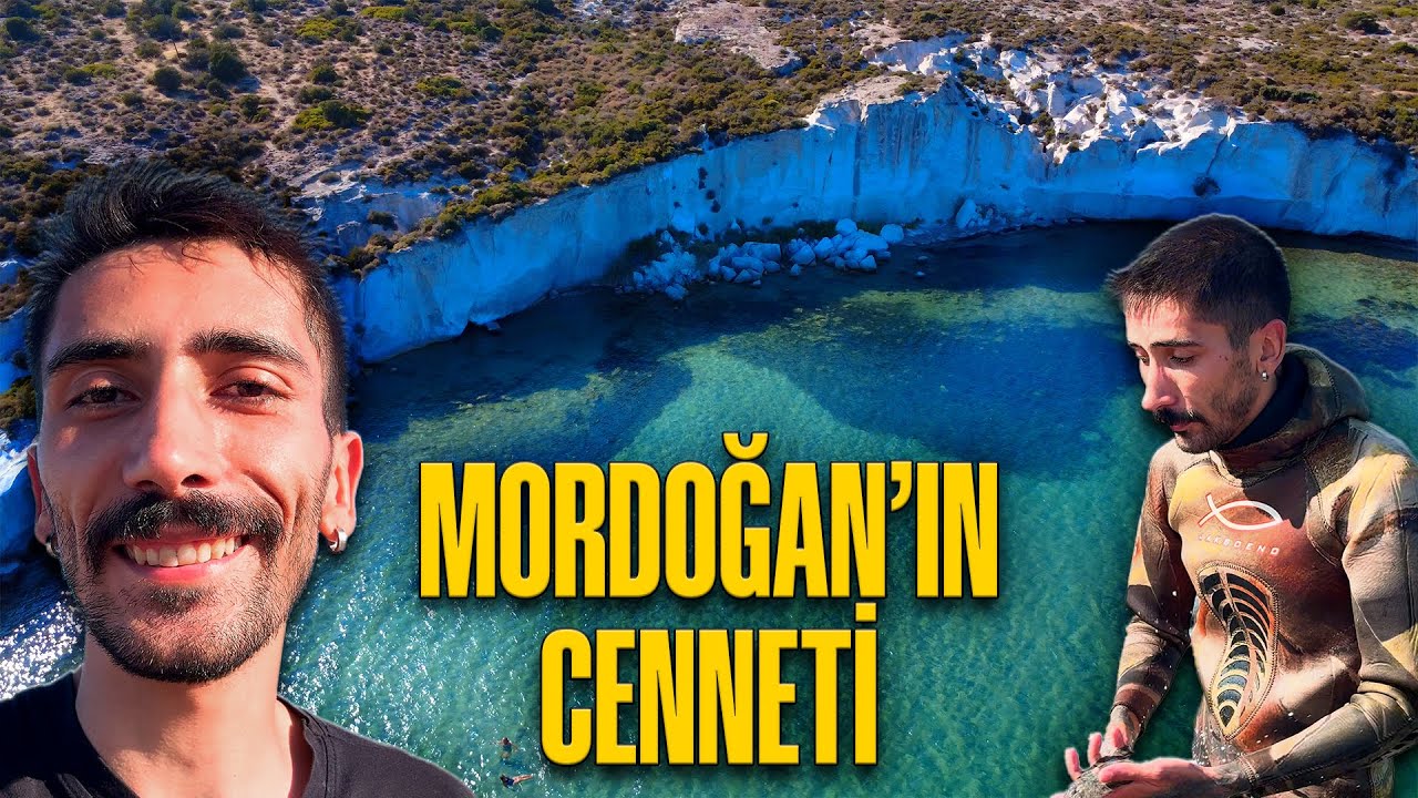 Mordoğan’da Muhteşem Bir Koy: Alifendere