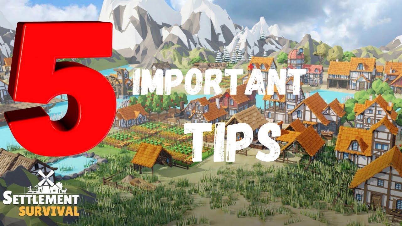 Settlement Survival: 5 Most Important Tips For A Successful Start