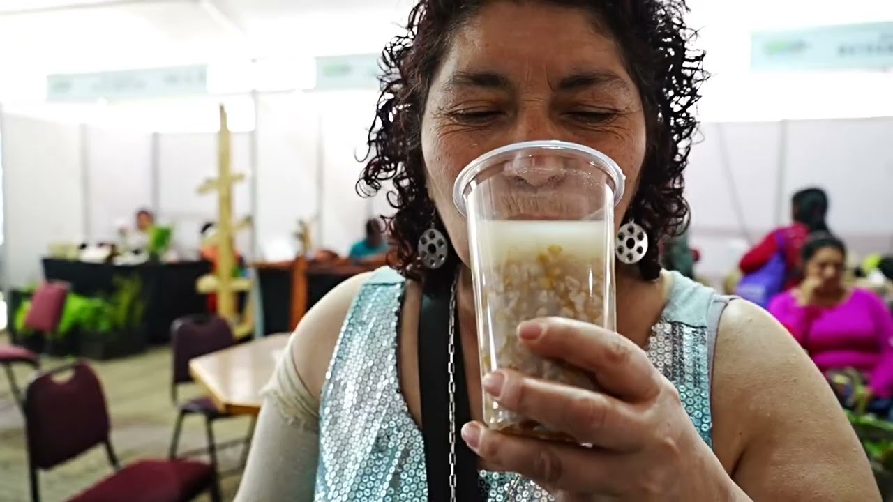 Resumen feria Mapuche Huilliche