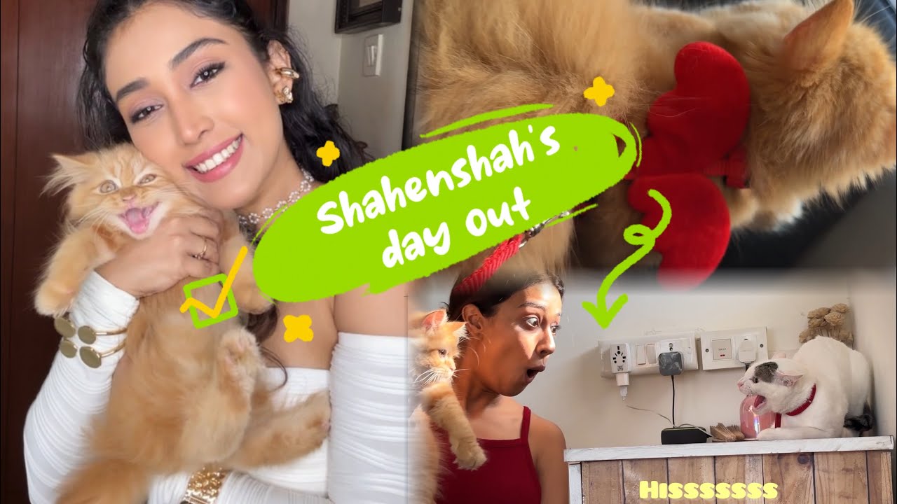 Shahenshah kitty Kant’s youtube debut!  Day out!! No nazar 🧿 