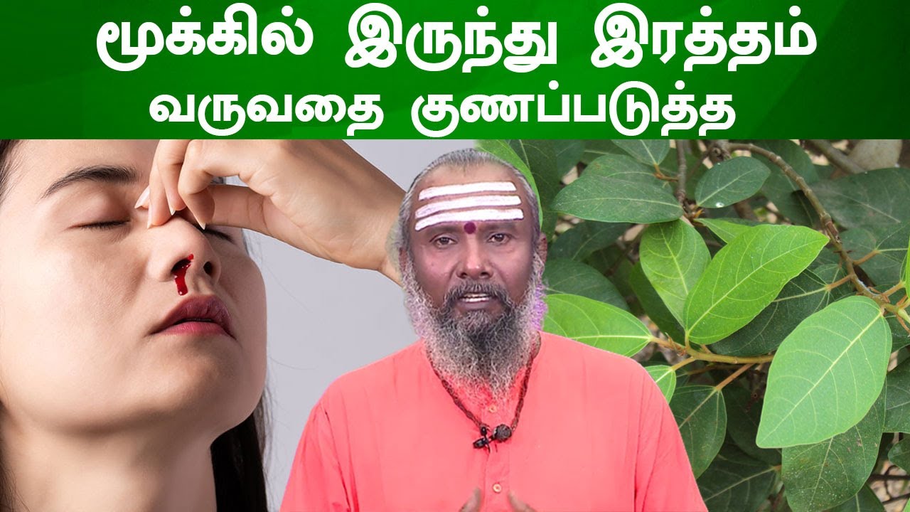 மூக்கில் இருந்து இரத்தம் வருவதை குணப்படுத்த | Nose Bleeding