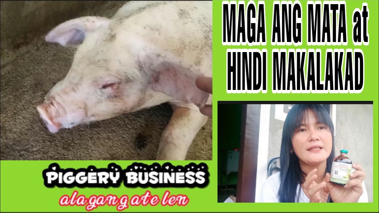 GAMOT | MAGA ANG MATA AT HINDI MAKALAKAD