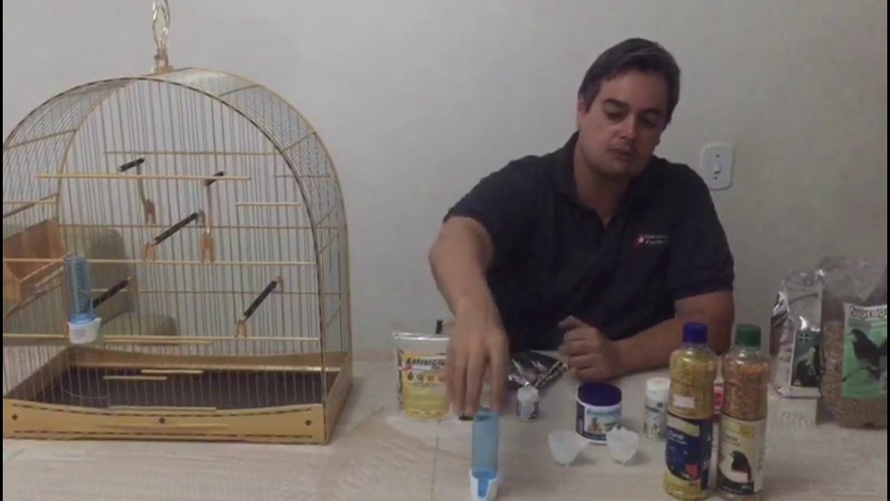 Como montar uma Gaiola para Curió