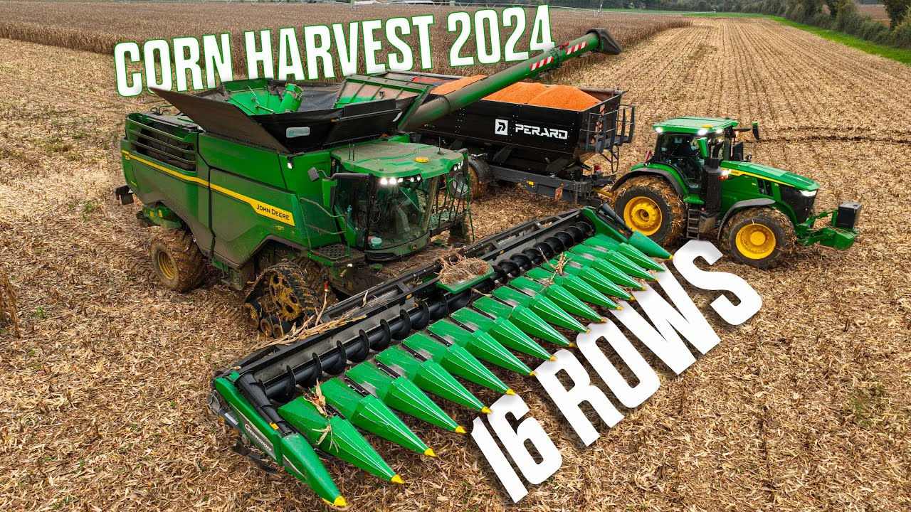 🤠 16 RANGS JOHN DEERE X9 1100 MOISSON du MAÏS 2024 (On plante le camion je le tire au TIGUAN 😅🤦‍♂️)