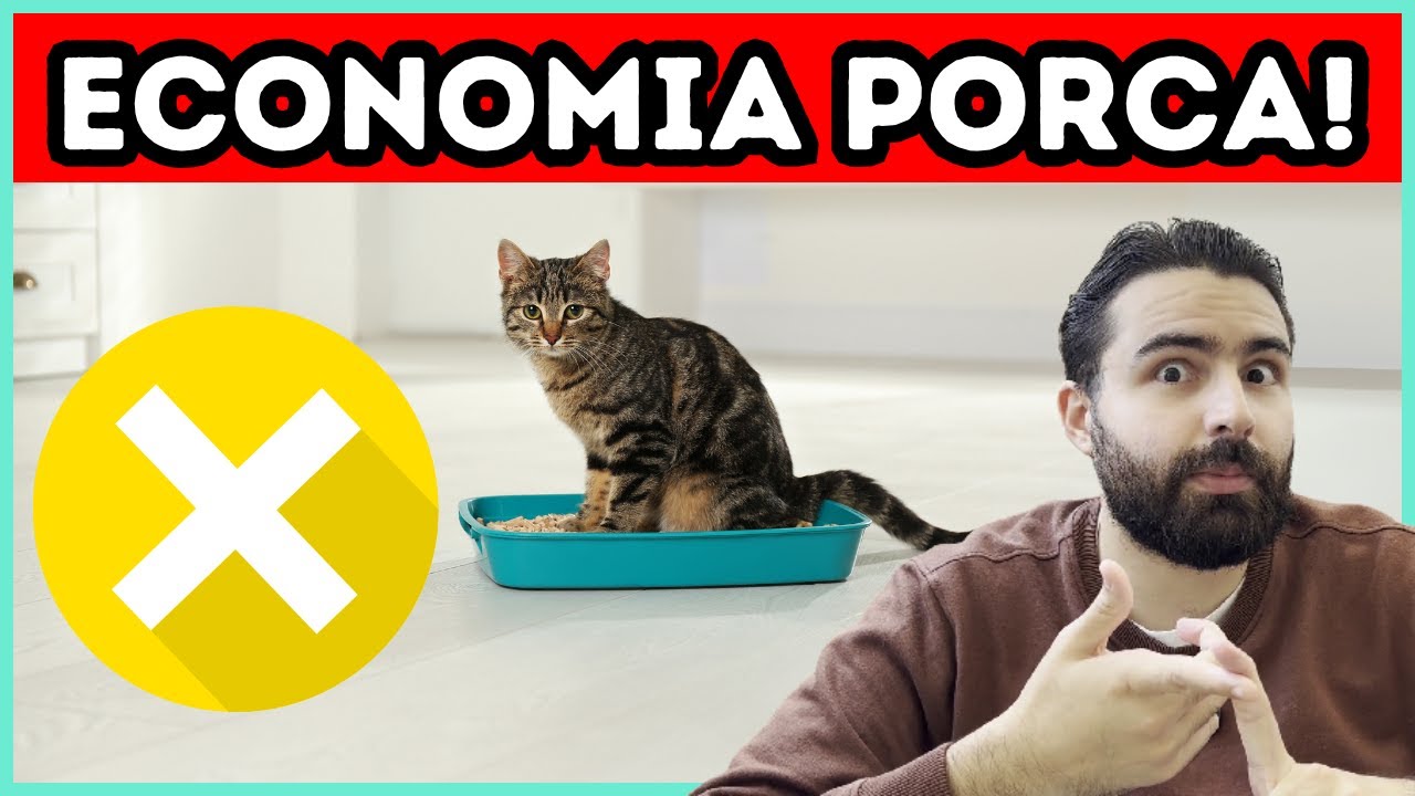 Economias Porcas Que Os Tutores Fazem… e Depois Choram No Veterinário!