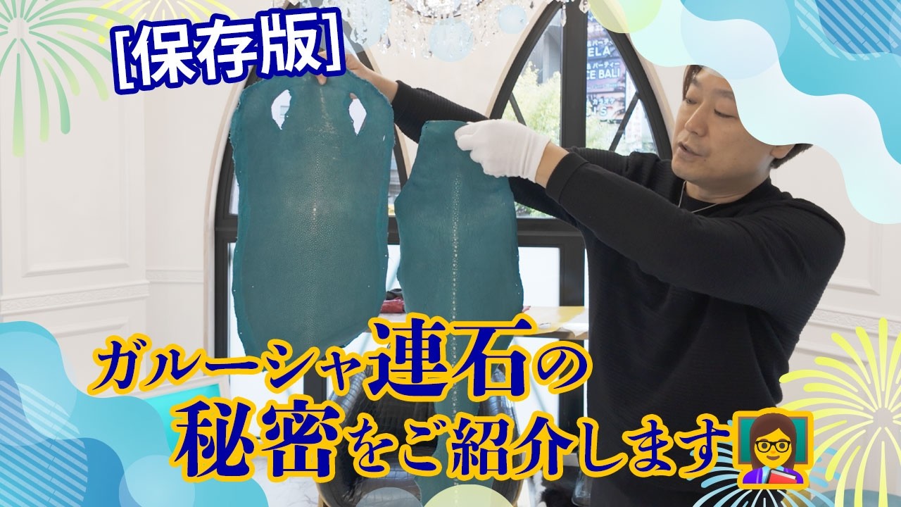 [保存版]ガルーシャ連石の秘密をご紹介します👩‍🏫
