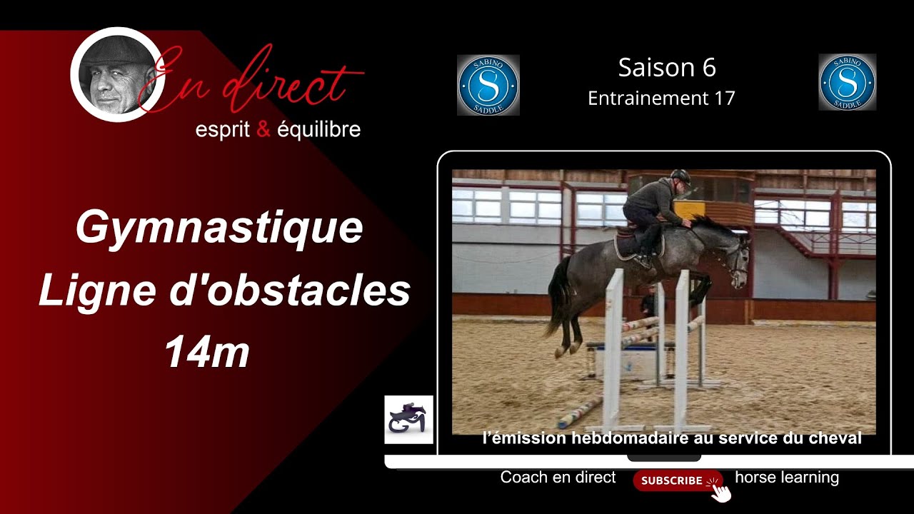 Gymnastique de la semaine ligne d'Obstacle 14m @coachendirecthorselearning