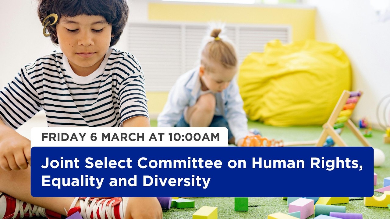 6th Meeting - JSC Human Rights, Equality & Diversity - March 6, 2026 - Child Abuse