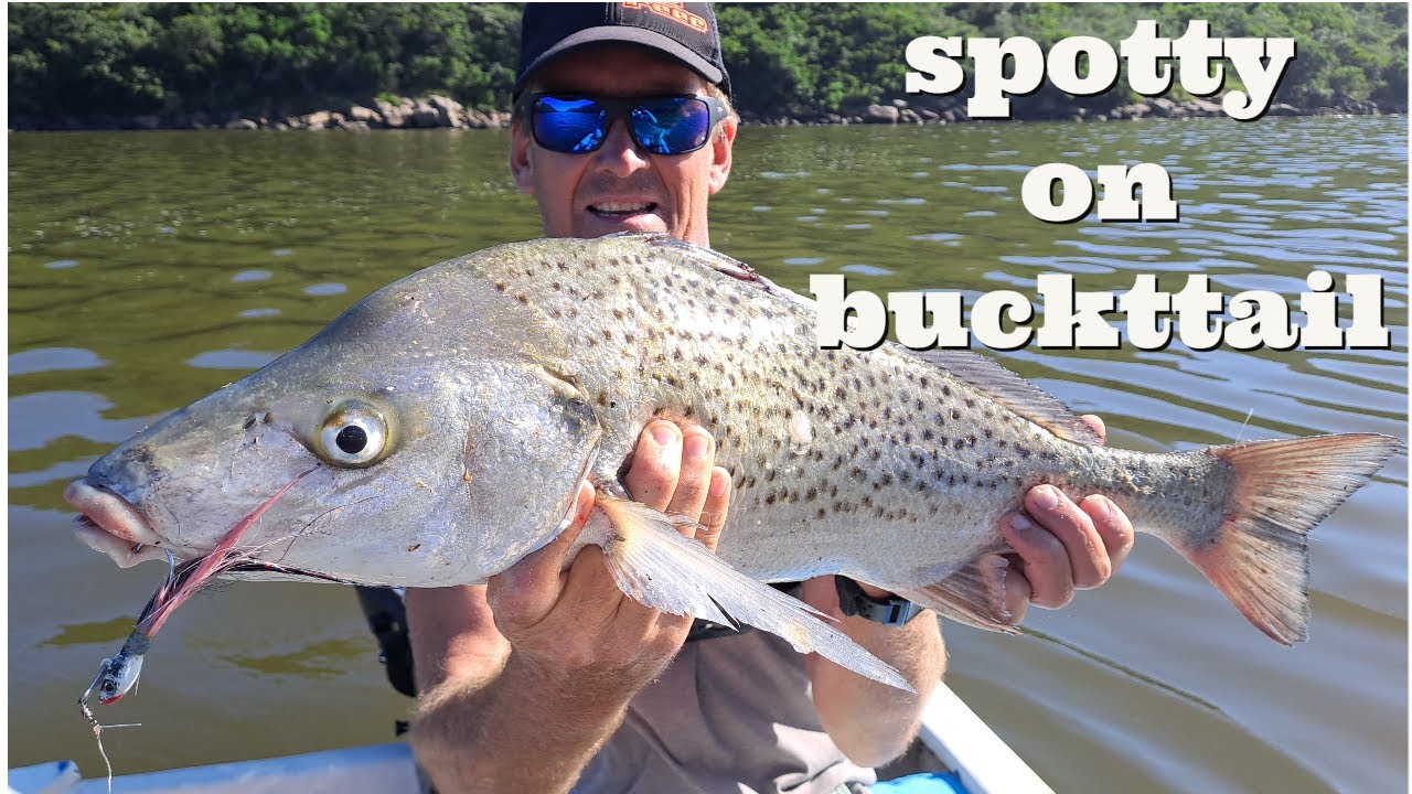 Spotted Grunter on bucktail jig in a Wildcoast estuary along with a great sized Garrick.