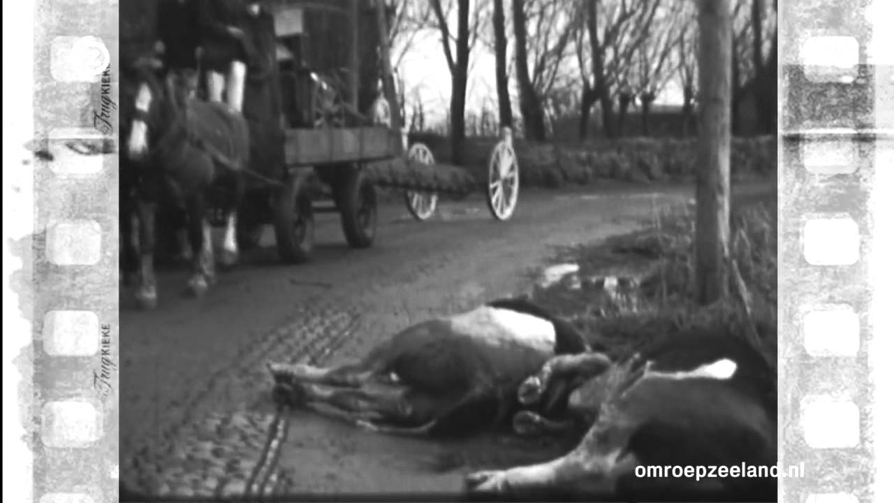 Trugkieke vrijdag 18 januari 2013: De Ramp op Schouwen-Duiveland