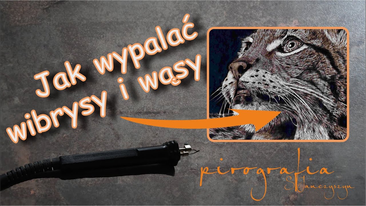 Pirografia - wibrysy, wąsy jak wypalać? - Sylwia Janczyszyn