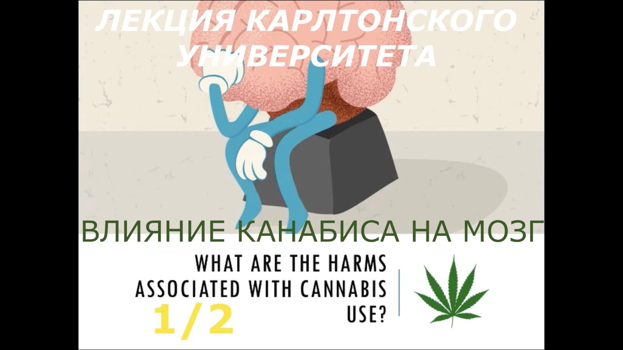 Влияние канабиса на мозг 1/2. Лекция карлтонского университета. Первод и озвучка STAHANOV2000