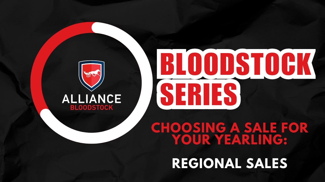 Choosing A Sale For Your Yearling: Regional Sales