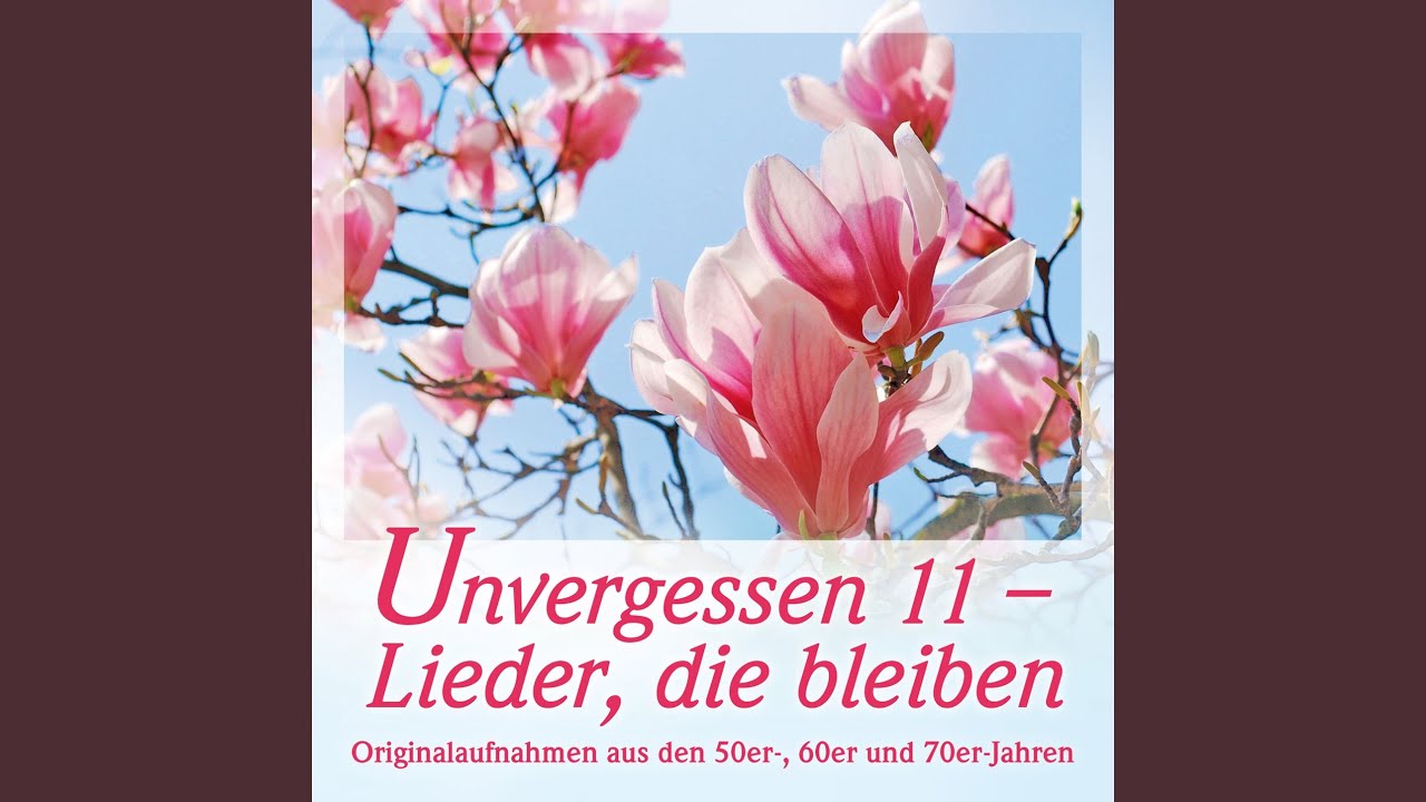 Traue Jesu, er gibt Frieden