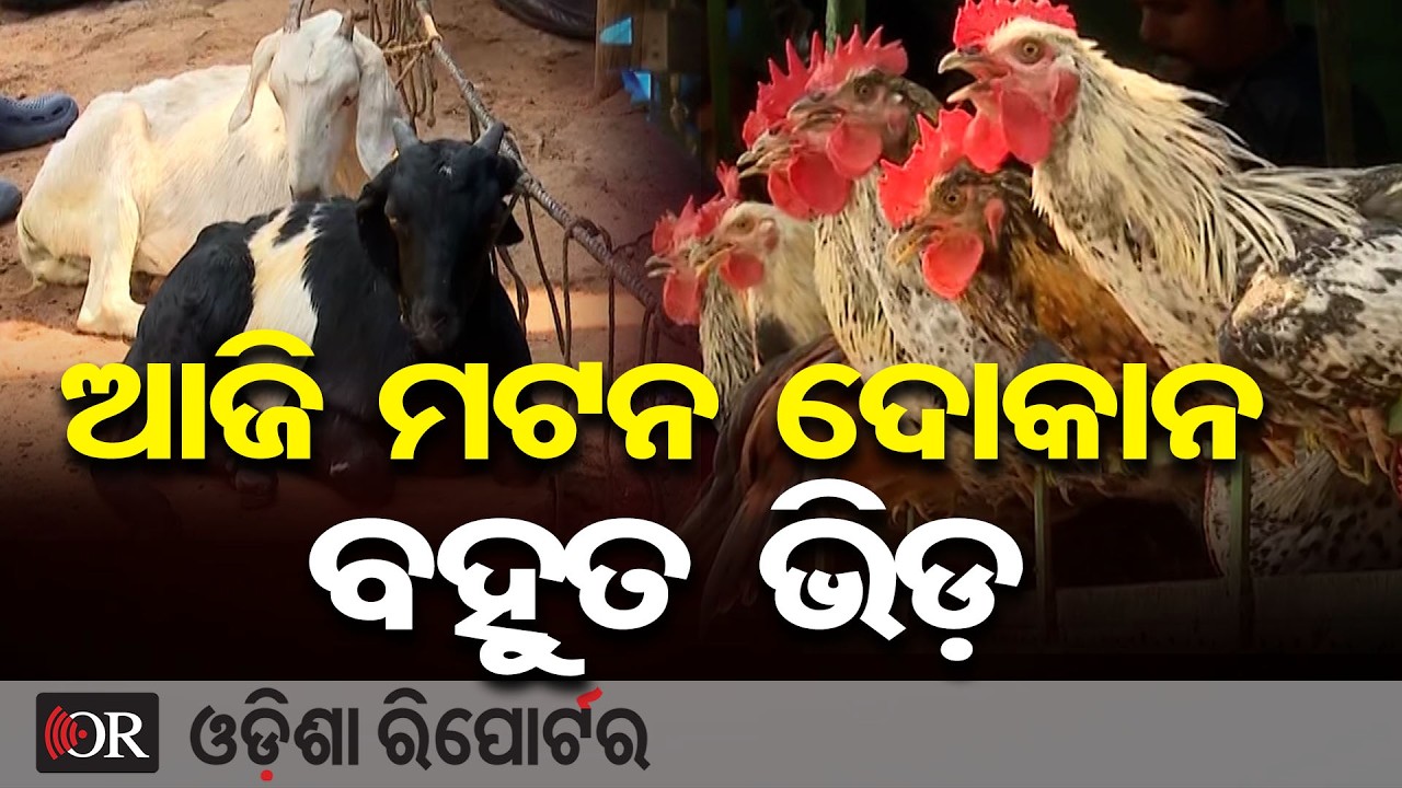 ଆଜି ମଟନ ଦୋକାନ ବହୁତ ଭିଡ଼ | Odisha Reporter