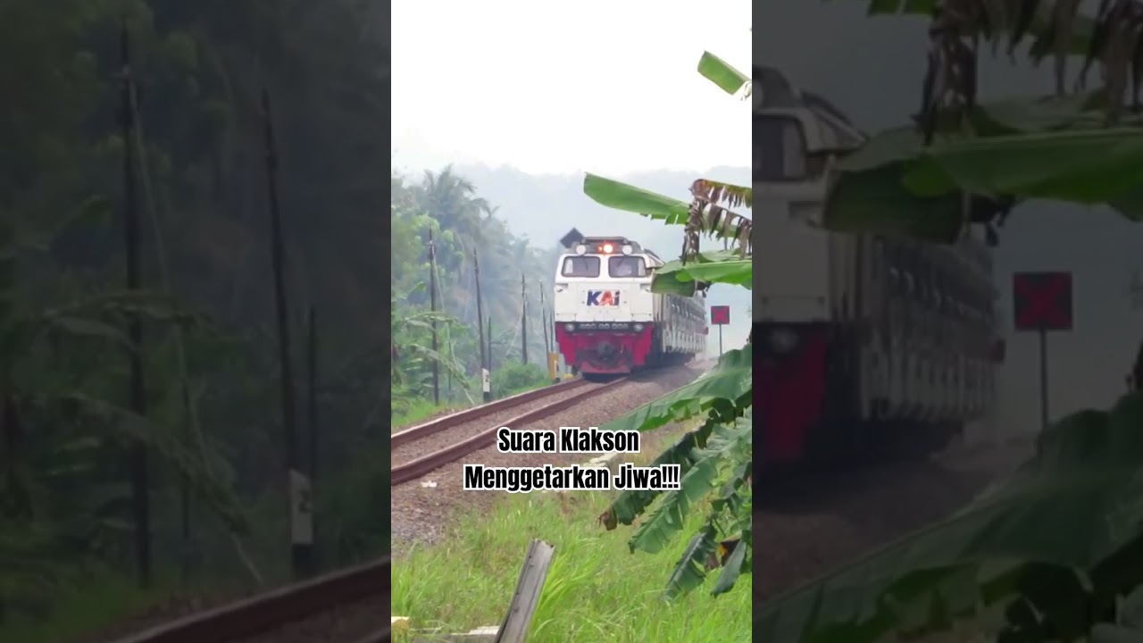16 DETIK AKSI BUNYI KLAKSON PANJANG KA MALABAR.  #kamalabar