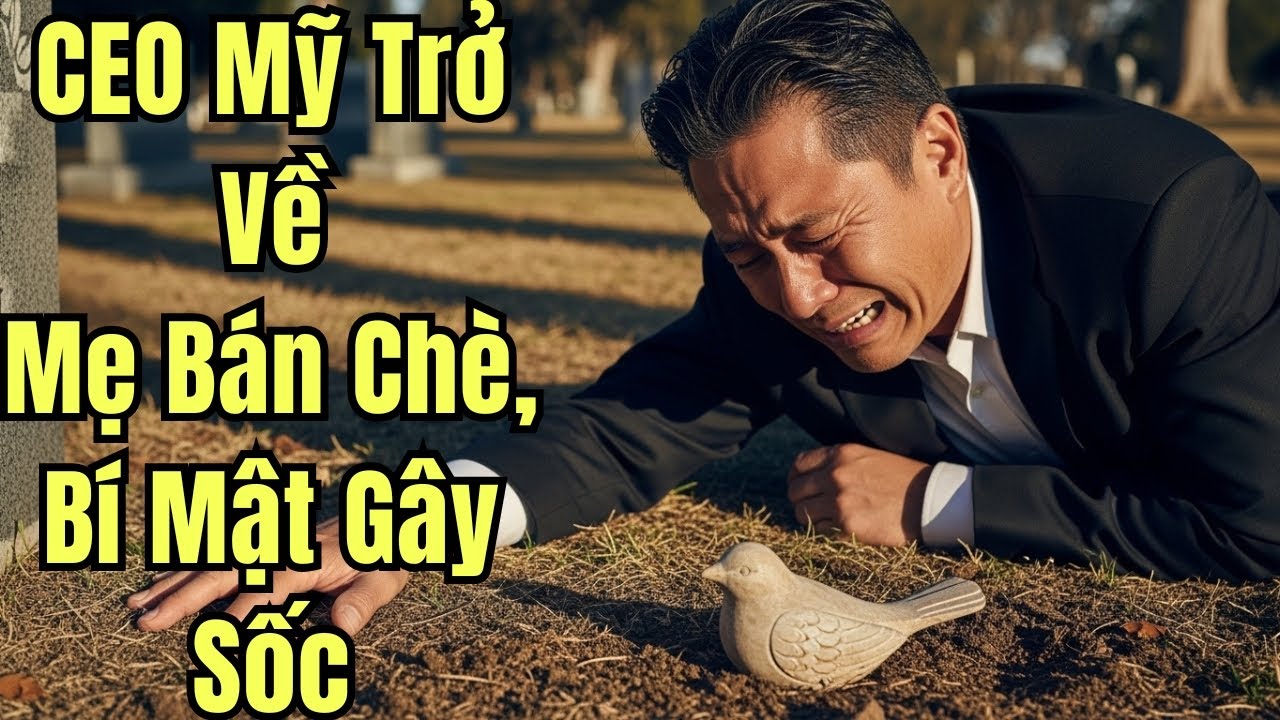 CEO Mỹ Quay Về Tìm Lại Mẹ Bán Chè Trên Phố – Câu Chuyện Cảm Động Khi Biết Mẹ Hi Sinh!