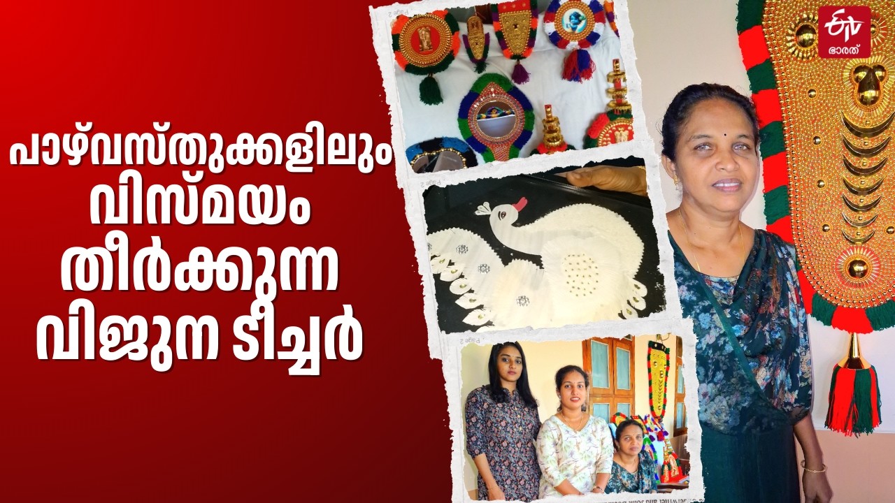 നെറ്റിപ്പട്ടം മുതൽ സോളോ വുഡ് വർക്ക് വരെ; വിജുന ടീച്ചറുടെ അത്ഭുത ലോകം | Waste to Wonder Craft