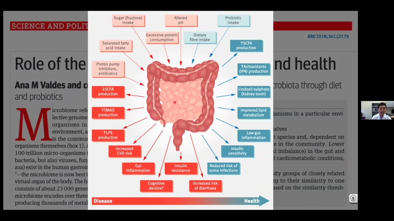 The Most Recent Advances in Microbiome and Cancer Immunotherapy