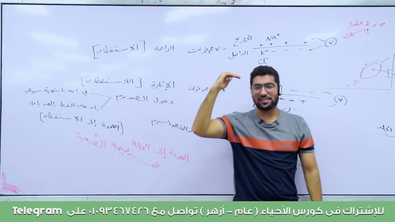المحاضرة الرابعة | السيال العصبي وآلية انقباض الجهاز العضلي | الحركة في الإنسان 💪 الجزء الثاني