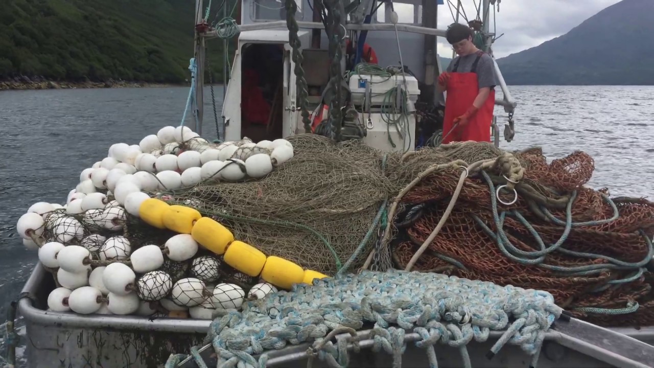 How It's Done: Salmon Seining Setting The Net