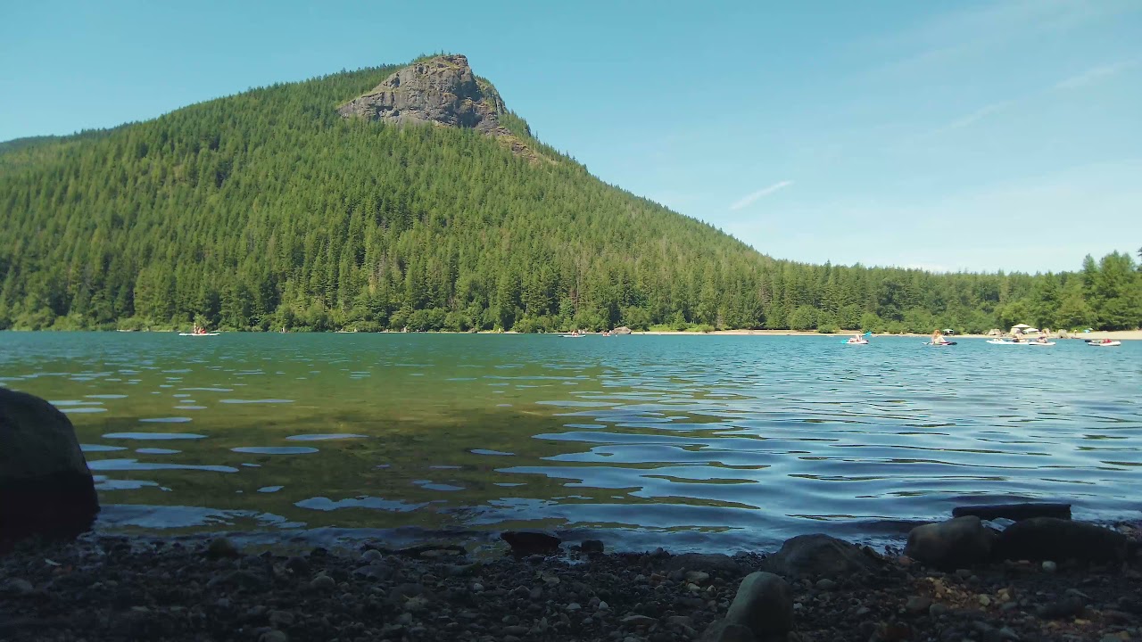 1 HOUR RELAXATION LAKE VIDEO WITH NATURE SOUNDS TO FREE YOUR MIND | SHOT WITH DJI OSMO POCKET