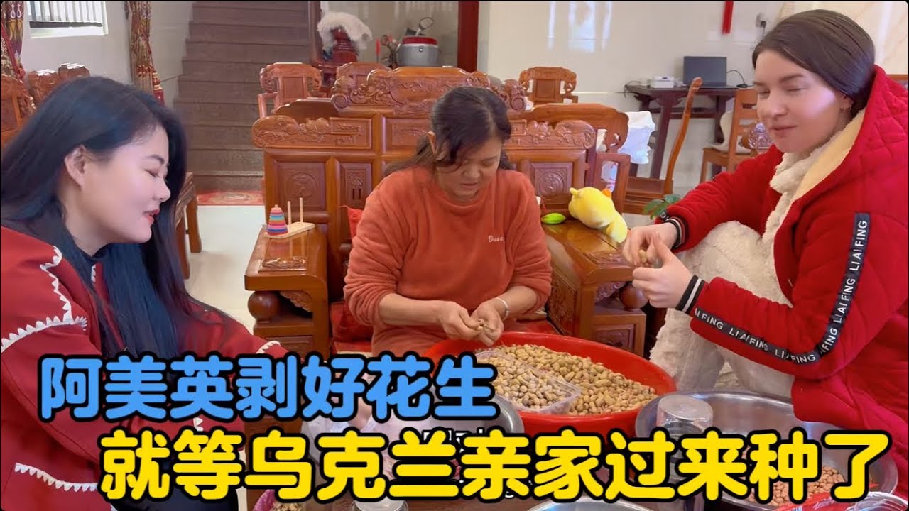 阿美英剥好花生等乌克兰亲家过来播种，中外家庭又将擦出怎样的火花