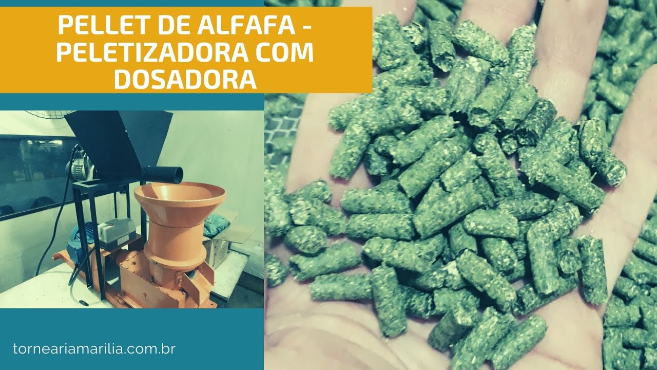PELETE DE ALFAFA PELETIZADA COM DOSADORA ESPECIAL |PELETIZADORA MG7,5D ALFAFA PARA CAVALOS