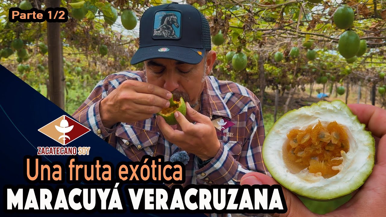 VERACRUZANOS QUE TRABAJAN duro todos los días