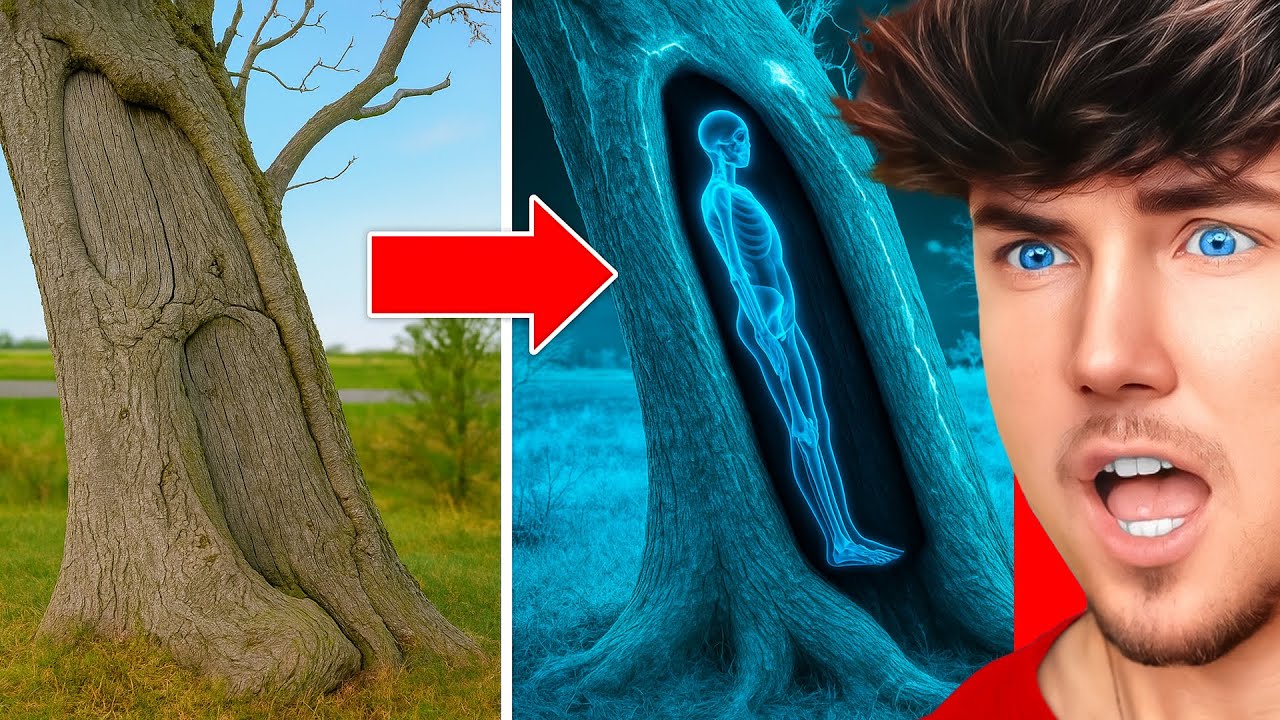 Die unglaublichsten Entdeckungen der Welt!