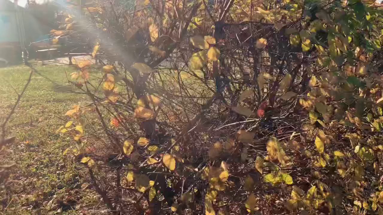An afternoon in N&oacute;gr&aacute;d , Hungary