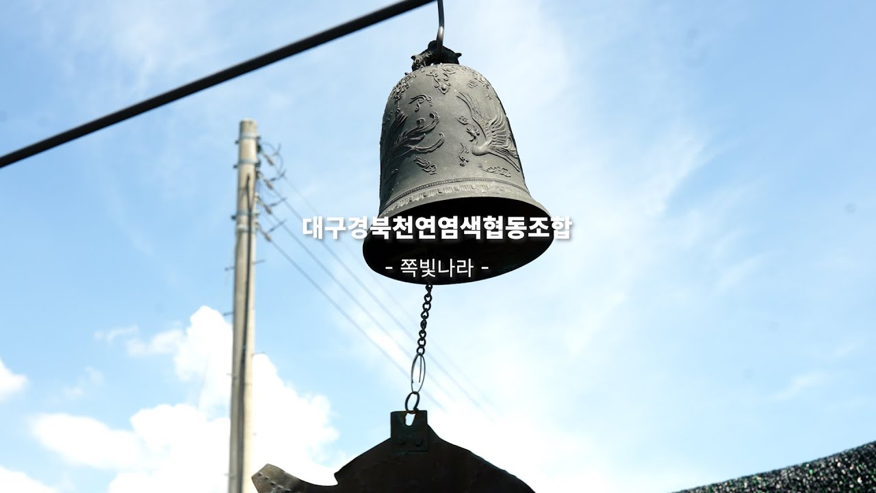 ✨쪽빛나라-대구경북천연염색협동조✨#대구경북천연염색협동조합 #천연염색 #천연염색체험 #자연염색 #천연염색공예 #전통염색 #친환경염색 #지속가능패션 #자연에서온색 #슬로우패션