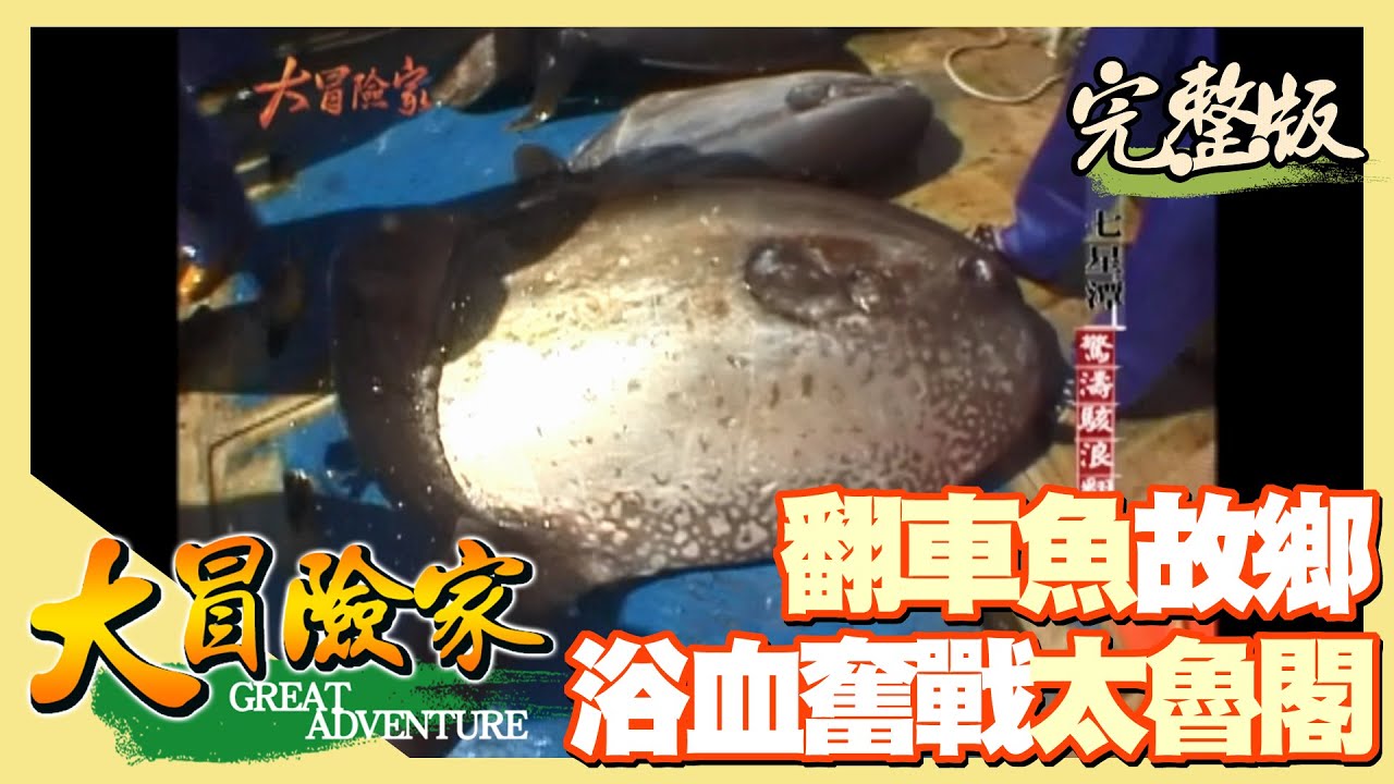 【大冒險家】七星潭 翻車魚故鄉／越野吉普車 浴血奮戰太魯閣 │2002.11.25│ 153集完整版