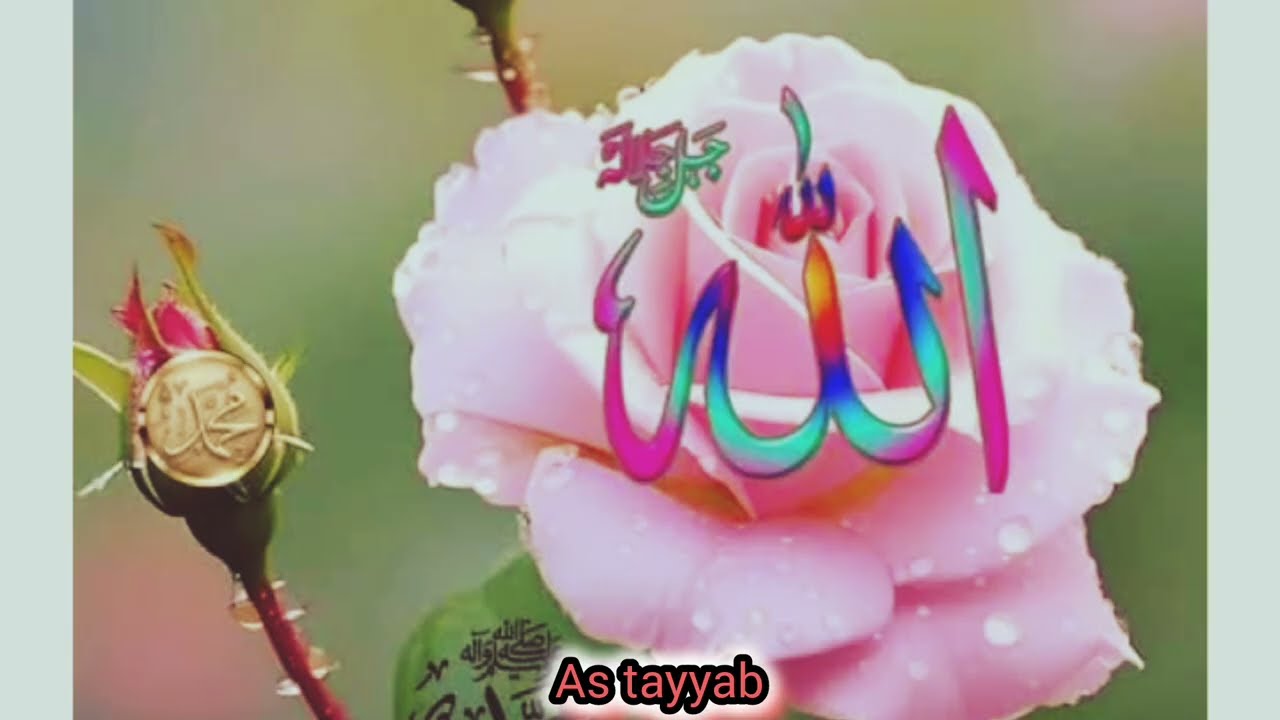 Last take dakna video varna khuch faida nahi ho ga logo aja ha wallpaper as tayyab 