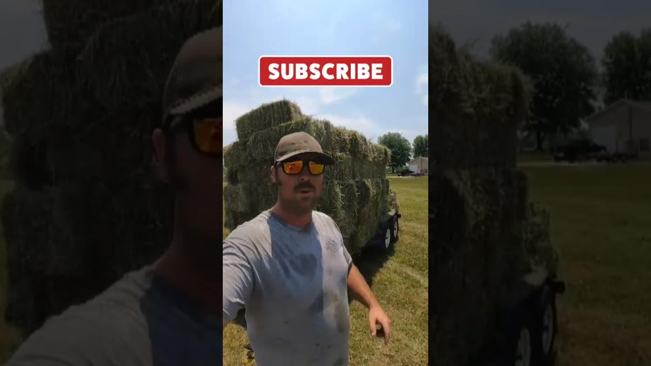 Square bale video #heafnerfarms #farmlife #shorts #fyp #family #midwest #tractor