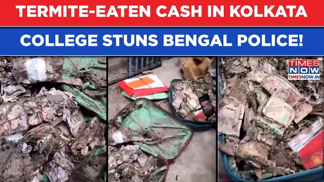 Bengal: Cash Eaten By Termites Found Stuffed In Kolkata College Union Room| Stunned Police Reveal...