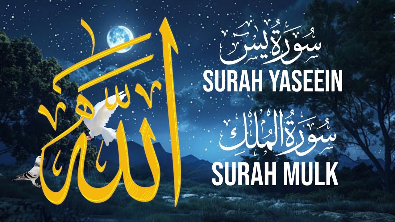  Surah Yaseen The Heart of the Quran Peaceful recitation of Surah Mulk Muhammad Waqas Madani