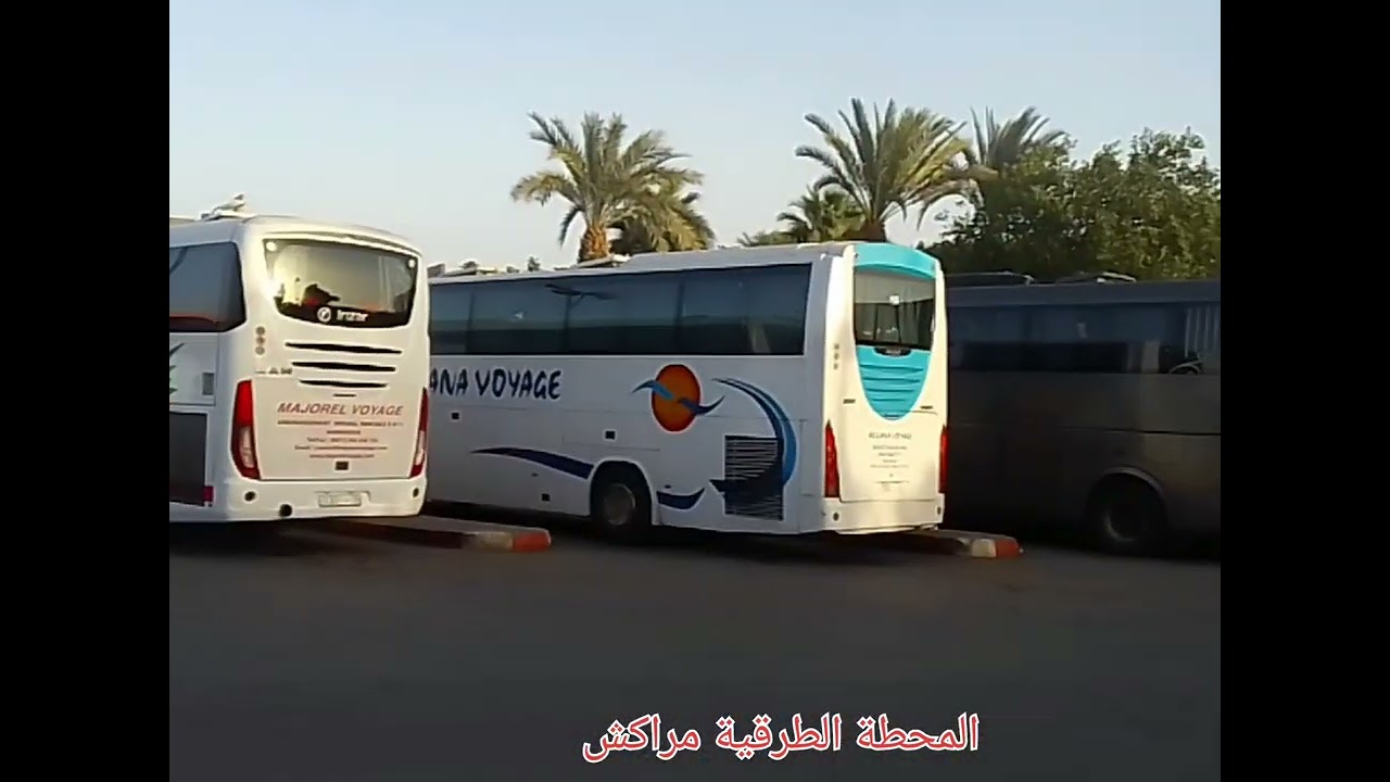 حافلات الدوفان المغربي داخل محطة مراكش